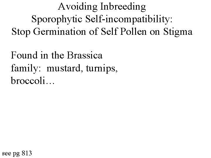 Avoiding Inbreeding Sporophytic Self-incompatibility: Stop Germination of Self Pollen on Stigma Found in the
