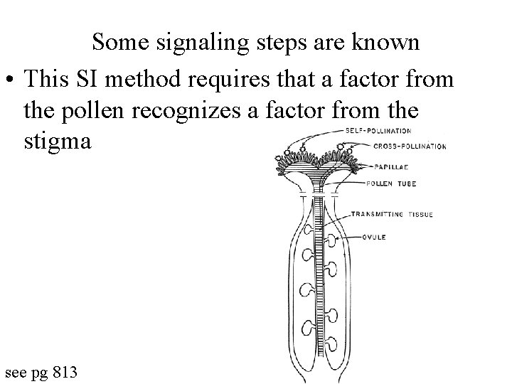 Some signaling steps are known • This SI method requires that a factor from
