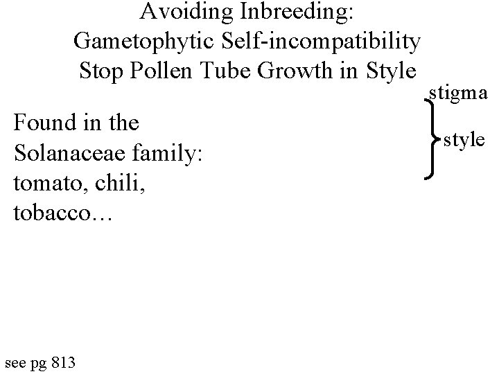 Avoiding Inbreeding: Gametophytic Self-incompatibility Stop Pollen Tube Growth in Style Found in the Solanaceae