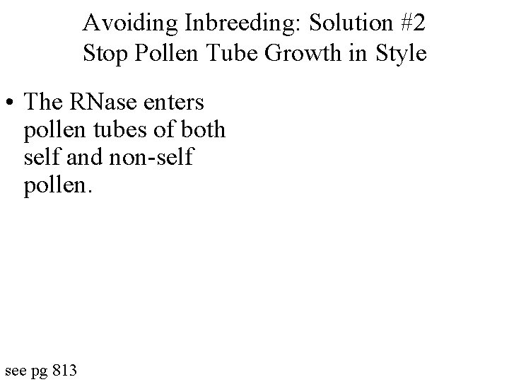 Avoiding Inbreeding: Solution #2 Stop Pollen Tube Growth in Style • The RNase enters