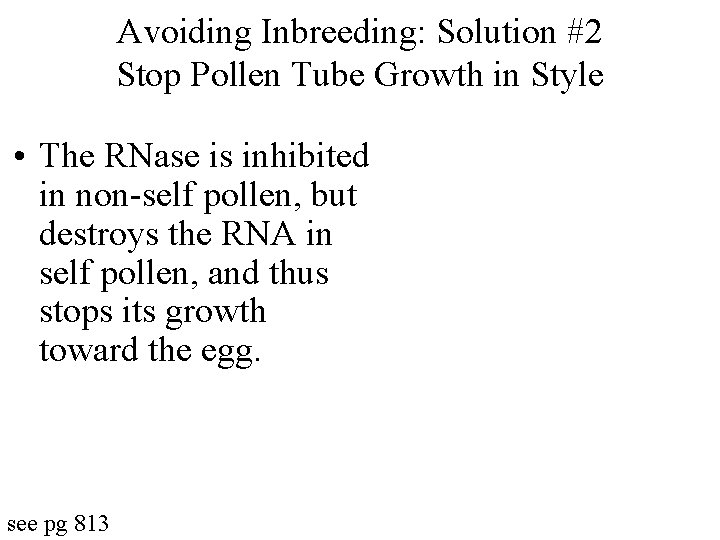 Avoiding Inbreeding: Solution #2 Stop Pollen Tube Growth in Style • The RNase is