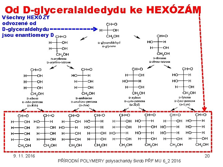 Od D-glyceralaldedydu ke HEXÓZÁM Všechny HEXÓZY odvozené od D-glyceraldehydu jsou enantiomery D 9. 11.