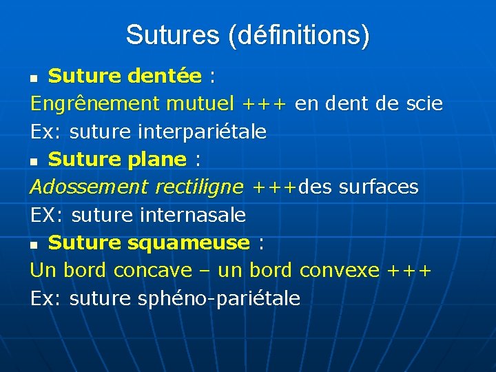 Sutures (définitions) Suture dentée : Engrênement mutuel +++ en dent de scie Ex: suture