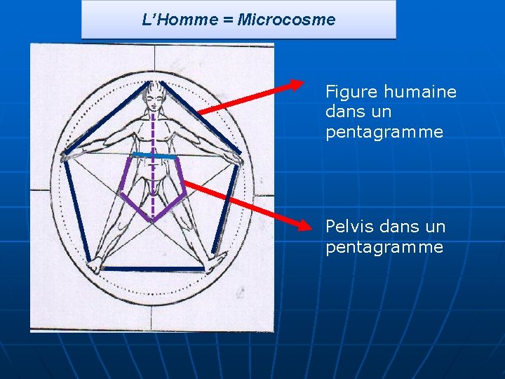 L’Homme = Microcosme Figure humaine dans un pentagramme Pelvis dans un pentagramme 