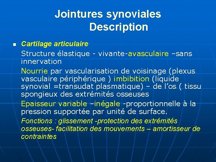 Jointures synoviales Description n Cartilage articulaire Structure élastique - vivante-avasculaire –sans innervation Nourrie par