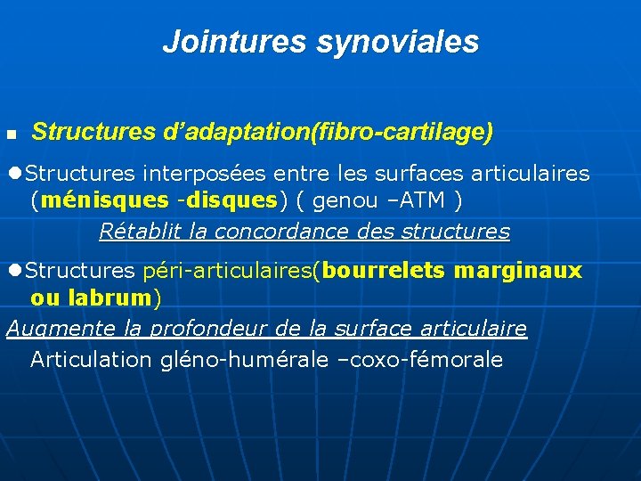Jointures synoviales n Structures d’adaptation(fibro-cartilage) ●Structures interposées entre les surfaces articulaires (ménisques -disques) (