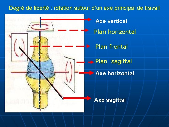 Degré de liberté : rotation autour d’un axe principal de travail Axe vertical Plan