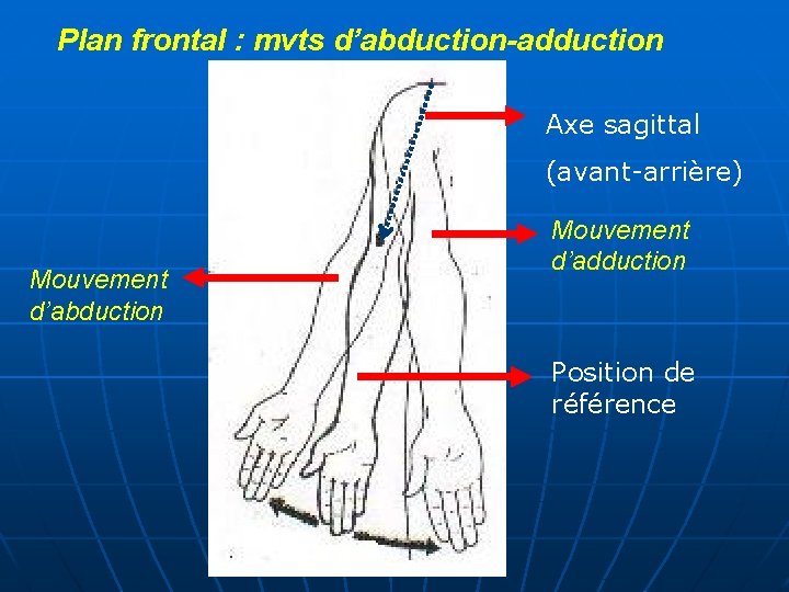 Plan frontal : mvts d’abduction-adduction Axe sagittal (avant-arrière) Mouvement d’abduction Mouvement d’adduction Position de