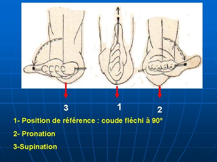 3 1 2 1 - Position de référence : coude fléchi à 90° 2