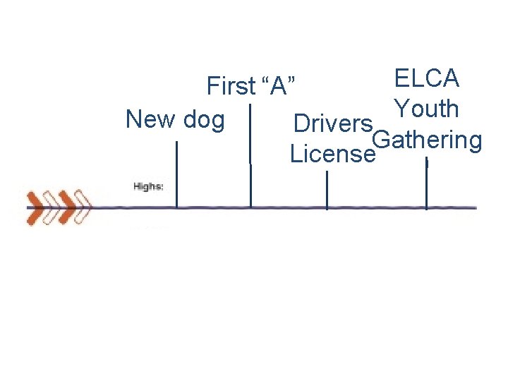 ELCA First “A” Youth New dog Drivers Gathering License ! 