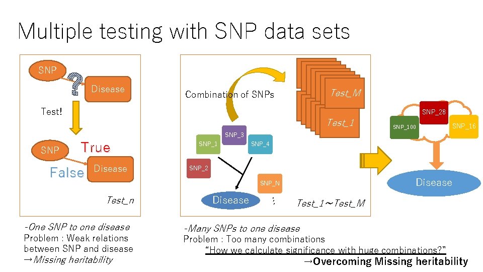 Multiple testing with SNP data sets SNP ? Disease Test Test_M Combination of SNPs