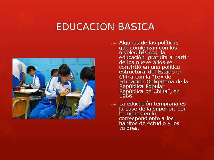  EDUCACION BASICA Algunas de las políticas que comienzan con los niveles básicos, la