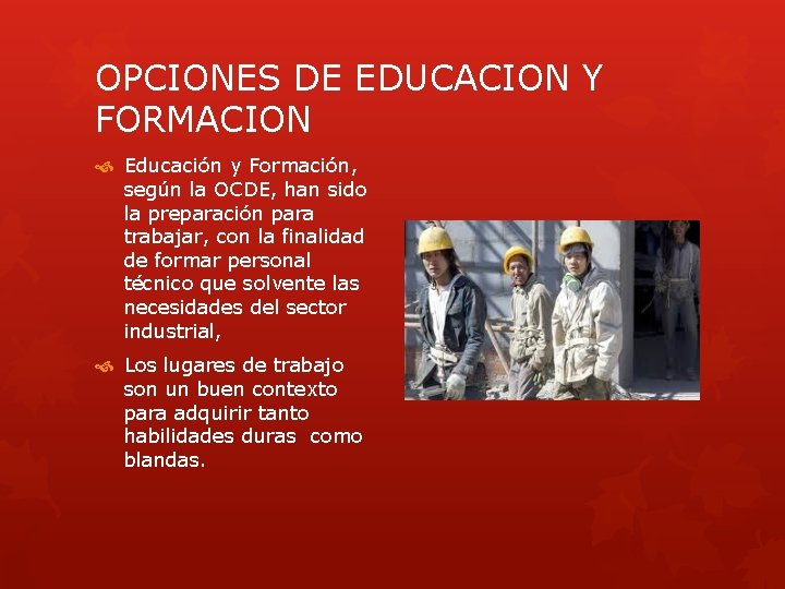OPCIONES DE EDUCACION Y FORMACION Educación y Formación, según la OCDE, han sido la