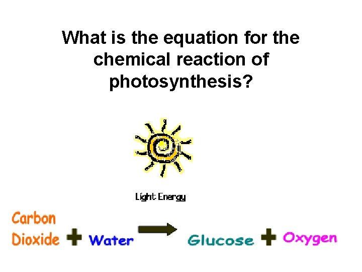 What is the equation for the chemical reaction of photosynthesis? What is the equation for the chemical reaction of photosynthesis?