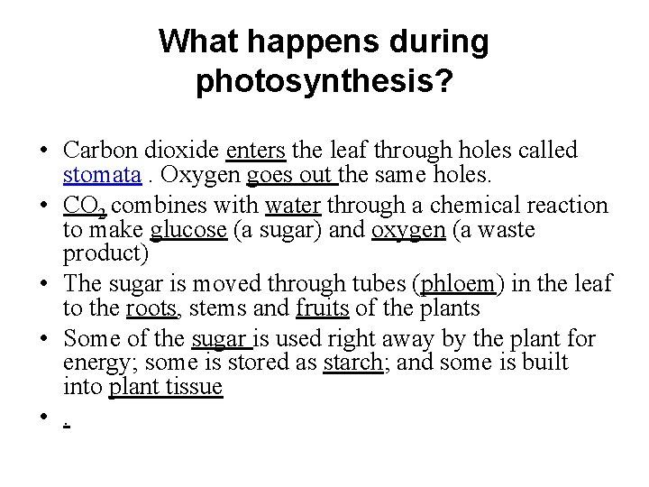 Photosynthesis Respiration WHAT DO PLANTS NEED FOR PHOTOSYNTHESIS