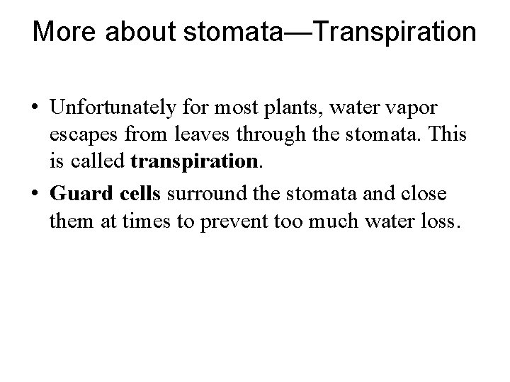 More about stomata—Transpiration • Unfortunately for most plants, water vapor escapes from leaves through More about stomata—Transpiration • Unfortunately for most plants, water vapor escapes from leaves through