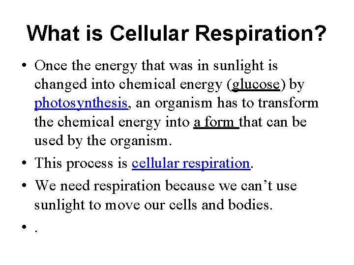 What is Cellular Respiration? • Once the energy that was in sunlight is changed What is Cellular Respiration? • Once the energy that was in sunlight is changed
