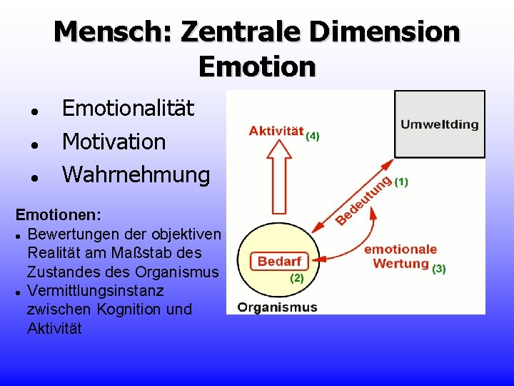 Mensch: Zentrale Dimension Emotionalität Motivation Wahrnehmung Emotionen: Bewertungen der objektiven Realität am Maßstab des