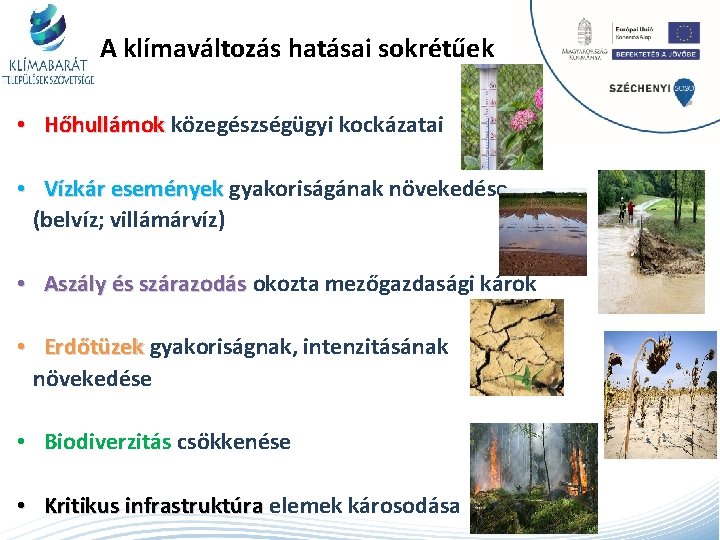 A klímaváltozás hatásai sokrétűek • Hőhullámok közegészségügyi kockázatai • Vízkár események gyakoriságának növekedése (belvíz;