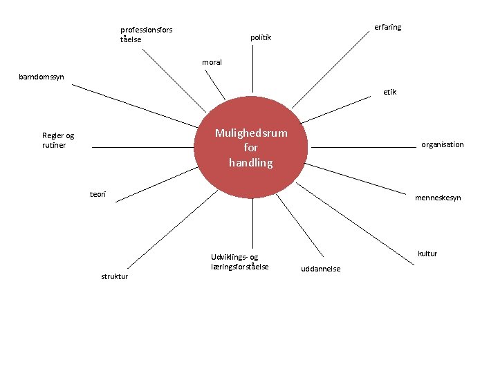 erfaring professionsfors tåelse politik moral barndomssyn etik Mulighedsrum for handling Regler og rutiner organisation