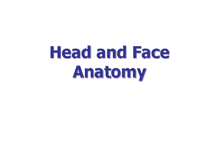 Head and Face Anatomy 