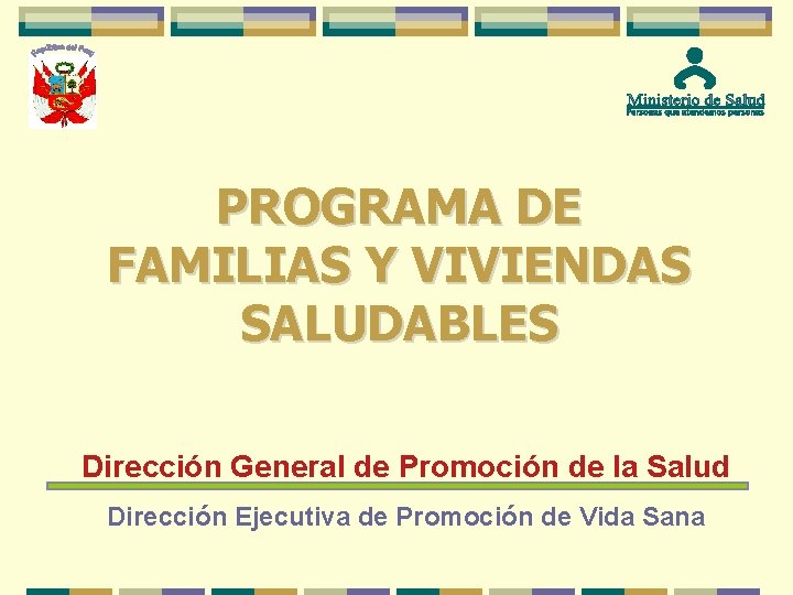 PROGRAMA DE FAMILIAS Y VIVIENDAS SALUDABLES Dirección General de Promoción de la Salud Dirección