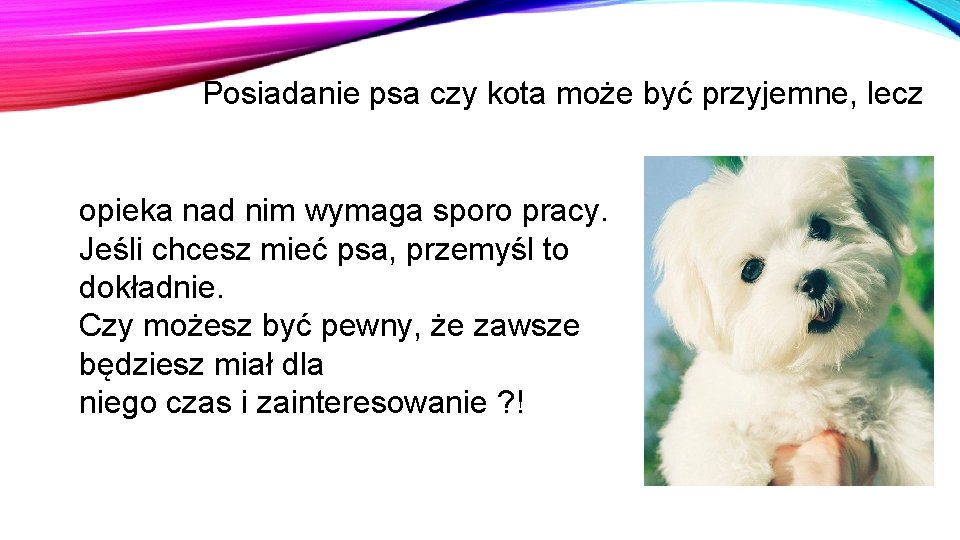 Posiadanie psa czy kota może być przyjemne, lecz opieka nad nim wymaga sporo pracy. Posiadanie psa czy kota może być przyjemne, lecz opieka nad nim wymaga sporo pracy.