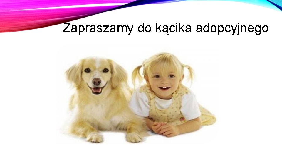 Zapraszamy do kącika adopcyjnego Zapraszamy do kącika adopcyjnego
