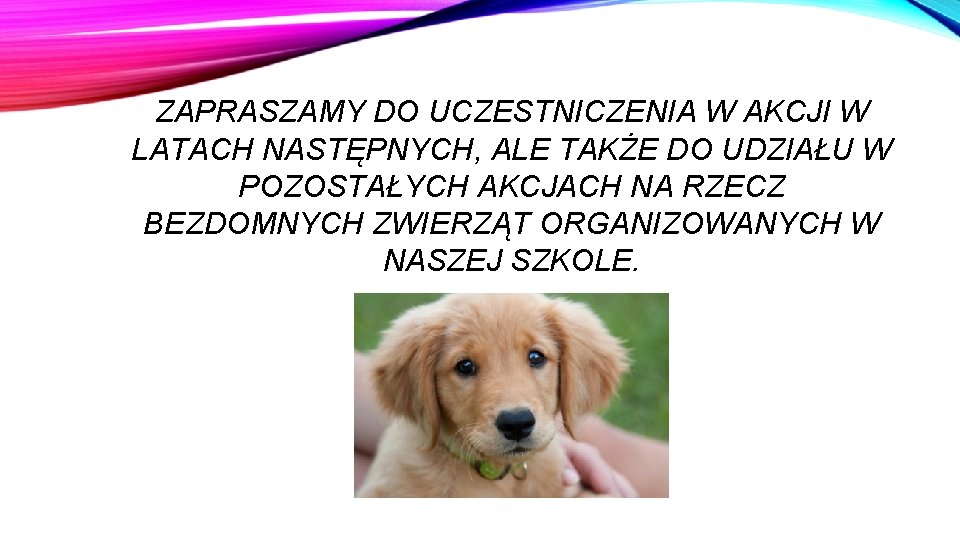 ZAPRASZAMY DO UCZESTNICZENIA W AKCJI W LATACH NASTĘPNYCH, ALE TAKŻE DO UDZIAŁU W POZOSTAŁYCH