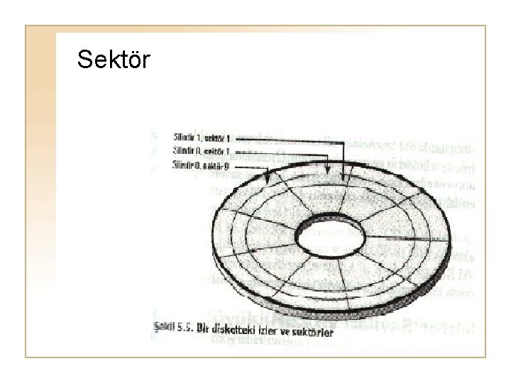 Sektör 