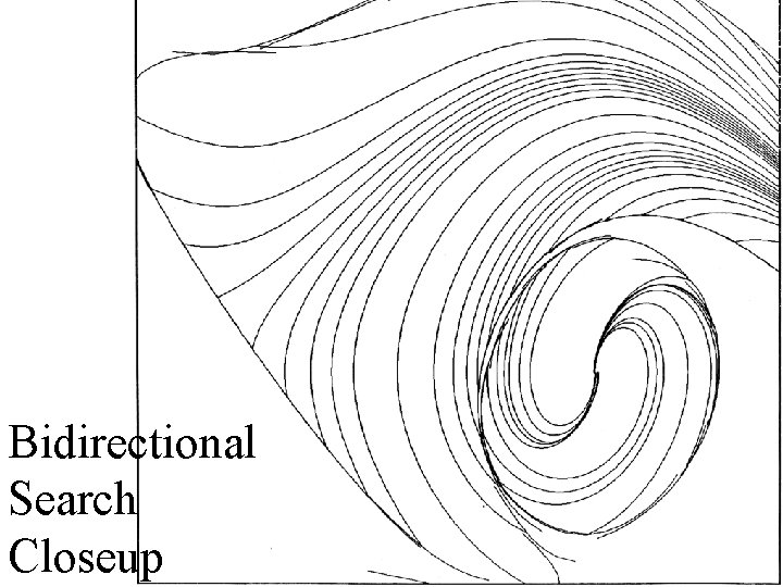 Bidirectional Search Closeup 