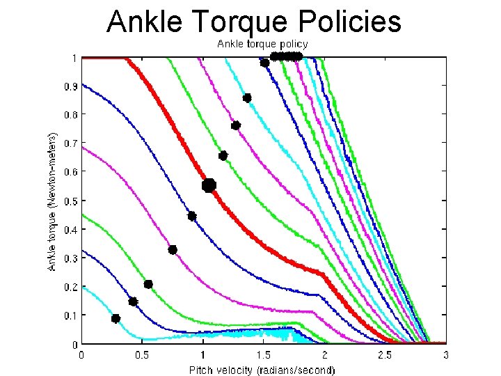 Ankle Torque Policies 