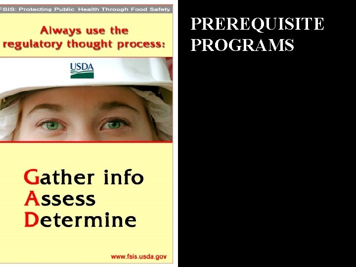 PREREQUISITE PROGRAMS 