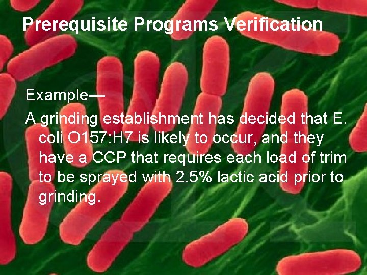 Prerequisite Programs Verification Example— A grinding establishment has decided that E. coli O 157: