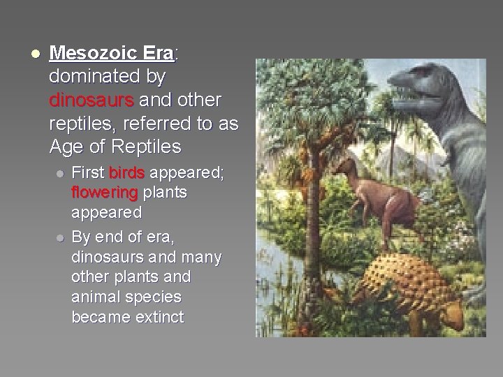 l Mesozoic Era: dominated by dinosaurs and other reptiles, referred to as Age of