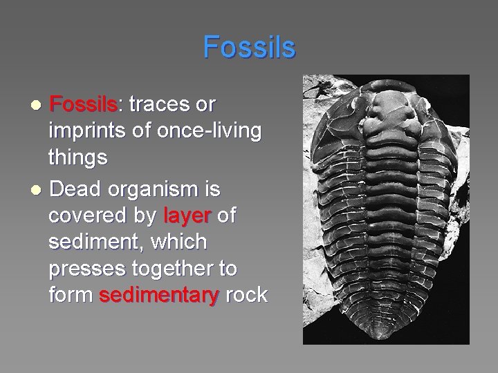 Fossils: traces or imprints of once-living things l Dead organism is covered by layer