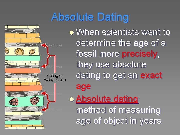 Absolute Dating l When scientists want to determine the age of a fossil more