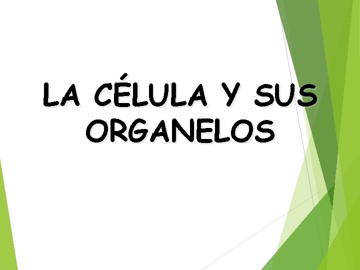 LA CÉLULA Y SUS ORGANELOS 