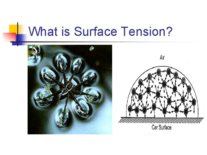 What is Surface Tension? 
