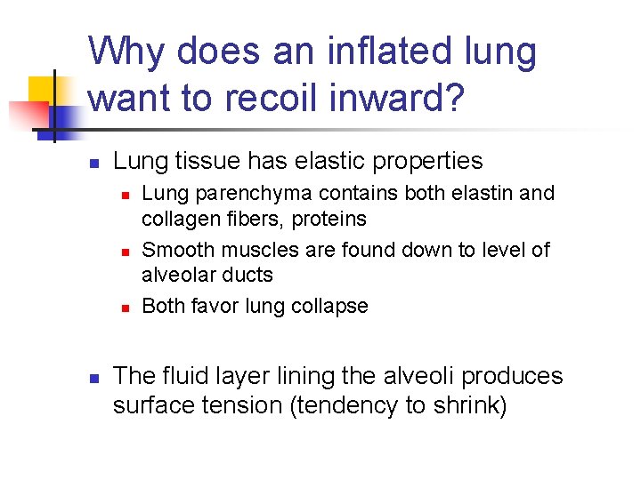 Why does an inflated lung want to recoil inward? n Lung tissue has elastic