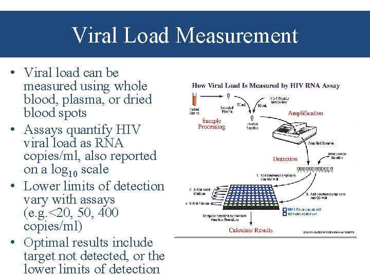 Viral Load Measurement • Viral load can be measured using whole blood, plasma, or