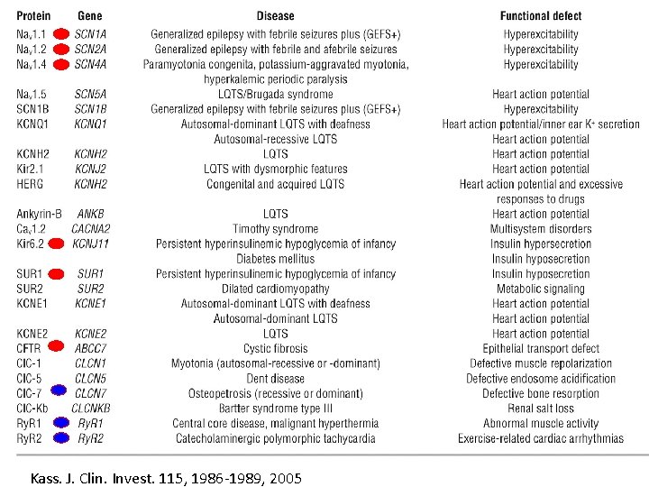 Kass. J. Clin. Invest. 115, 1986 -1989, 2005 
