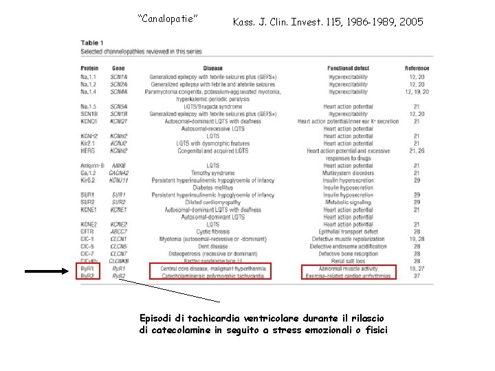 “Canalopatie” Kass. J. Clin. Invest. 115, 1986 -1989, 2005 Episodi di tachicardia ventricolare durante