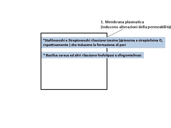 1. Membrana plasmatica (inducono alterazioni della permeabilità) *Stafilococchi e Streptococchi rilasciano tossine (a‐tossina e