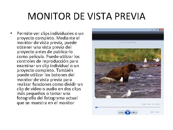 MONITOR DE VISTA PREVIA • Permite ver clips individuales o un proyecto completo. Mediante