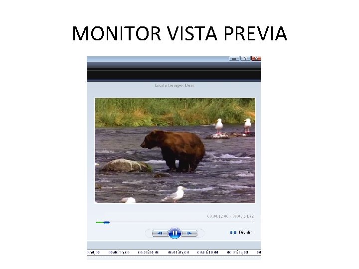 MONITOR VISTA PREVIA 