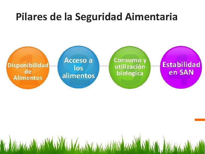 Pilares de la Seguridad Aimentaria 1 2 3 4 Disponibilidad de Alimentos a Acceso