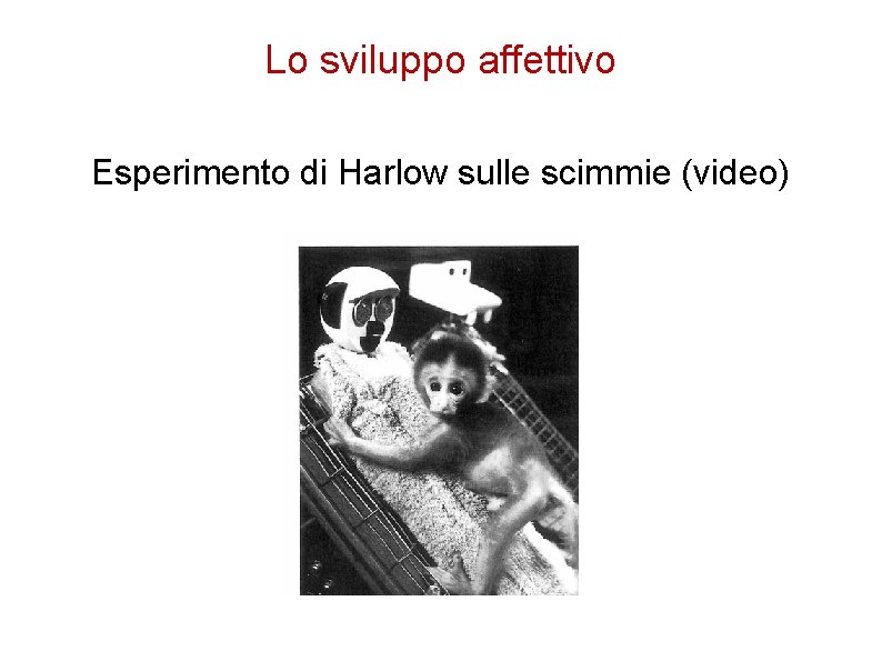 Lo sviluppo affettivo Esperimento di Harlow sulle scimmie (video) Lo sviluppo affettivo Esperimento di Harlow sulle scimmie (video)