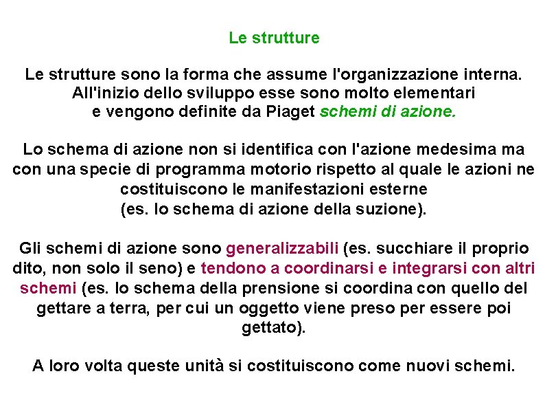 Le strutture sono la forma che assume l'organizzazione interna. All'inizio dello sviluppo esse sono Le strutture sono la forma che assume l'organizzazione interna. All'inizio dello sviluppo esse sono