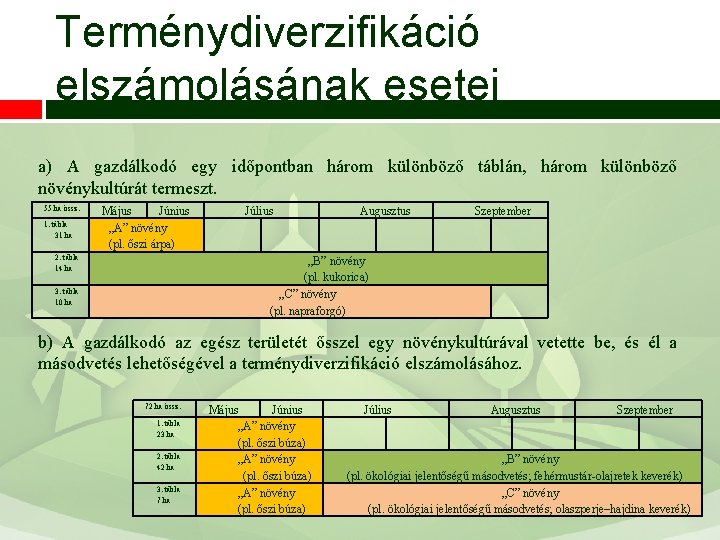 Terménydiverzifikáció elszámolásának esetei a) A gazdálkodó egy időpontban három különböző táblán, három különböző növénykultúrát